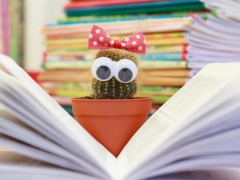 【英国读博篇】剑桥大学博士的申请要求及流程