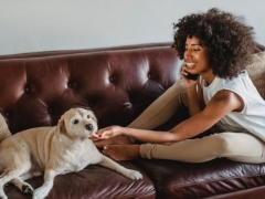 2024新西兰塔卡普纳中学留学申请流程规划指南