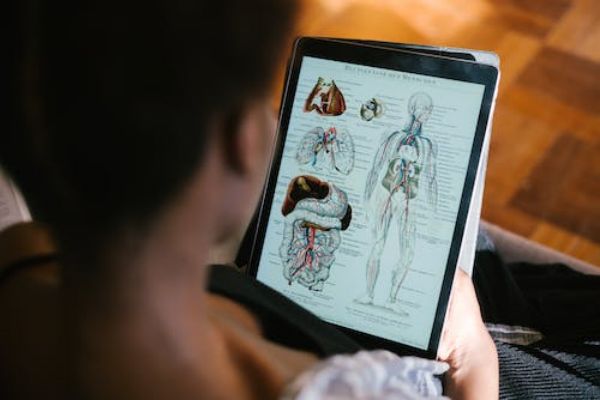 2023QS学科排名第11！密歇根大学人类学专业介绍