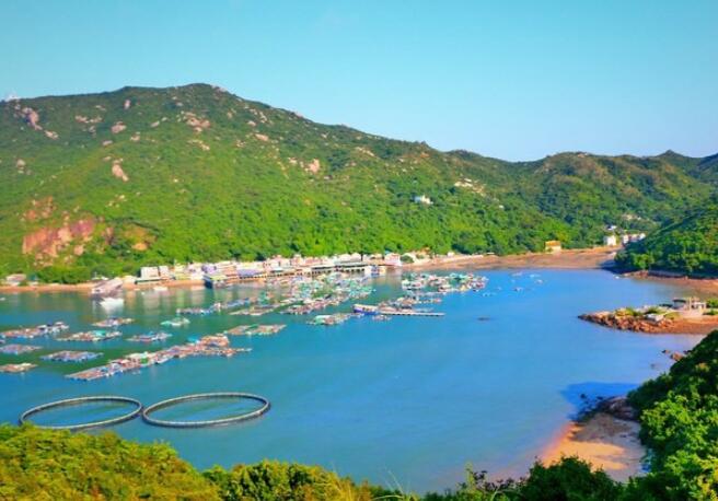 去香港的工作签证怎么办理(去香港的工作签证怎么办理2021)