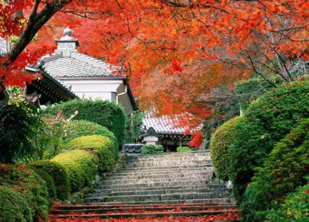 日本人入境签证规定(最新日本入境签证政策)