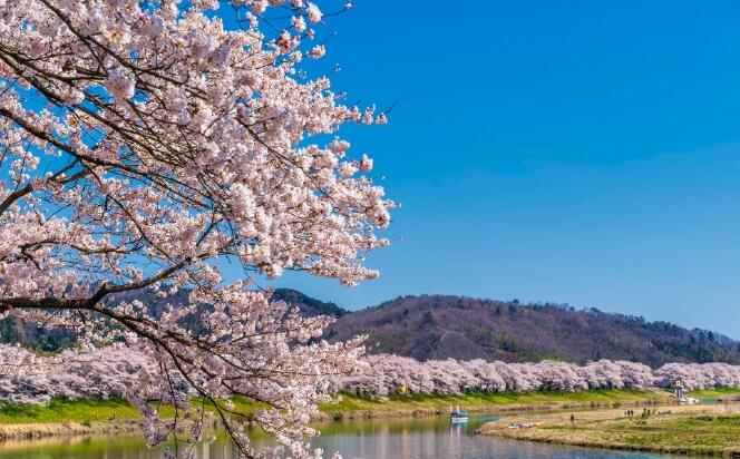 日本到中国是否免签证(日本到中国是否免签证政策)