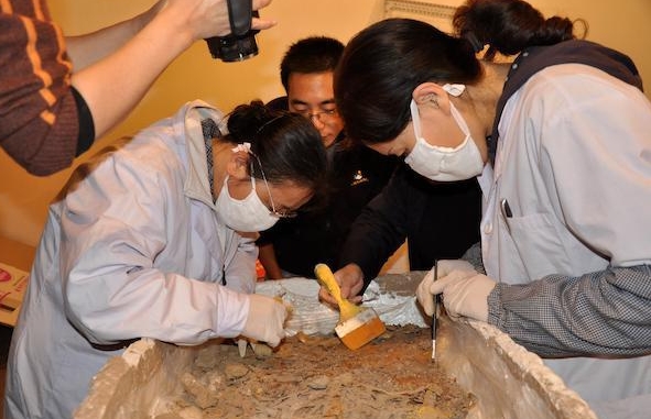 北京大学考古学怎么样?2024QS世界大学学科排名第13! 北京大学考古学怎么样?2024QS世界大学学科排名第13!