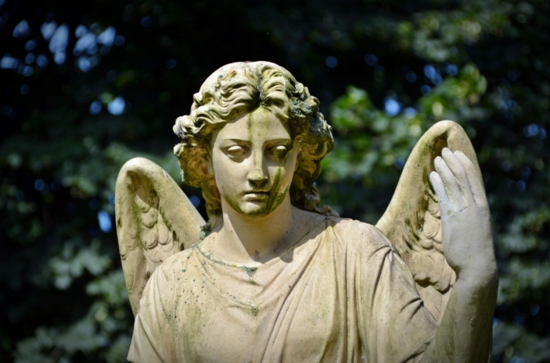 加州大学洛杉矶分校历史专业怎么样？2024QS世界大学学科排名第10！