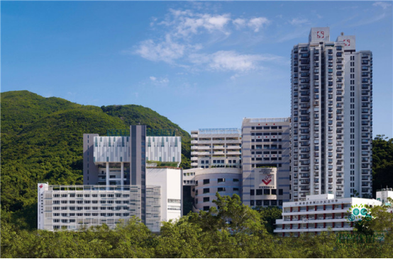 香港国际学校指南 港岛区都有哪些一条龙名校? 香港国际学校指南 港岛区都有哪些一条龙名校?