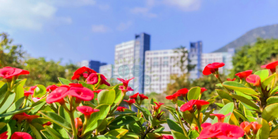 香港留学申请:雅思差1分 GpA比学校要求低0.1分是一种什么体验? 香港留学申请:雅思差1分 GpA比学校要求低0.1分是一种什么体验?