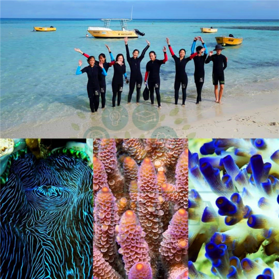 名师荟萃 就读全港最贵的国际学校是一种什么体验? 名师荟萃 就读全港最贵的国际学校是一种什么体验?