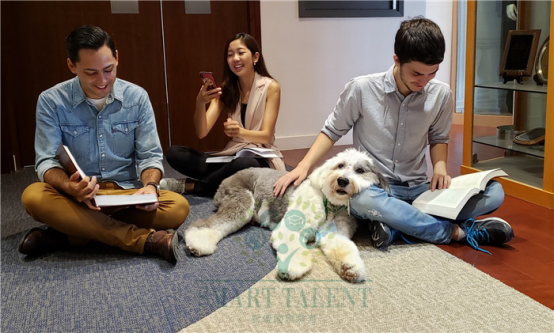 香港大学研究生留学怎么申请? 香港大学研究生留学怎么申请?