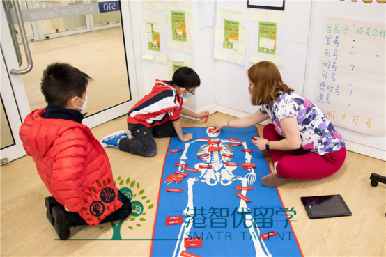 香港思贝礼国际学校排名怎么样? 香港思贝礼国际学校排名怎么样?