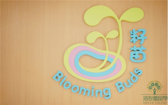 香港籽苗幼稚园怎么样? 香港籽苗幼稚园怎么样?