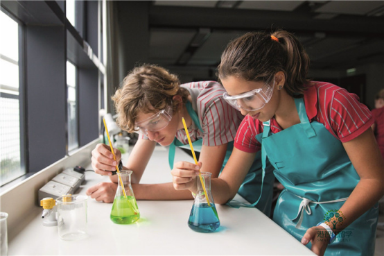 都说香港国际学校学费贵?