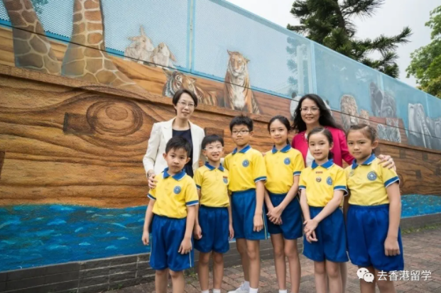 申请香港国际学校小一面试为什么不成功呢?