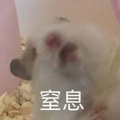 为什么不建议家境普通的学生读商科? 为什么不建议家境普通的学生读商科?