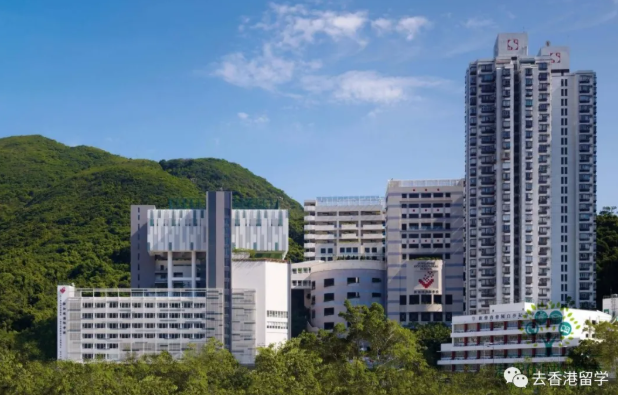 香港国际学校怎么样(香港美国国际学校好吗)