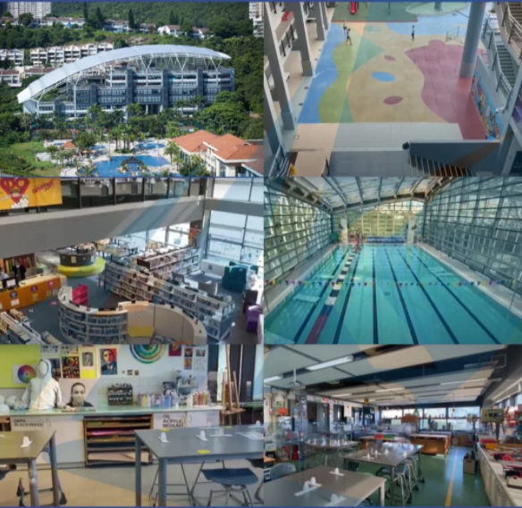 英基IB龙校-智新书院 Y1还可申请! 英基IB龙校-智新书院 Y1还可申请!