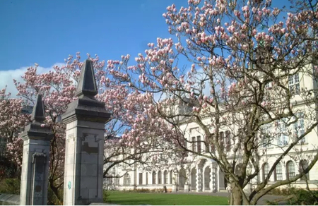 卡迪夫大学城市设计专业排名第几? 卡迪夫大学城市设计专业排名第几?