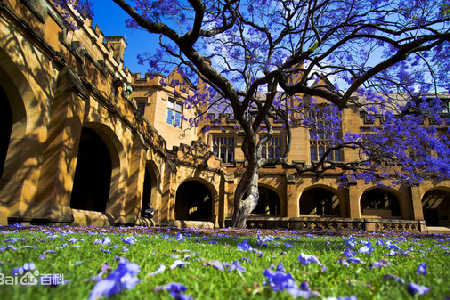 悉尼大学交互设计与电子艺术硕士如何? 悉尼大学交互设计与电子艺术硕士如何?