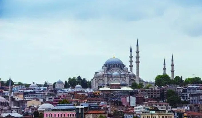 土耳其护照怎么办理有哪些优势,揭秘土耳其护照移民的真实情况(图1) image.png