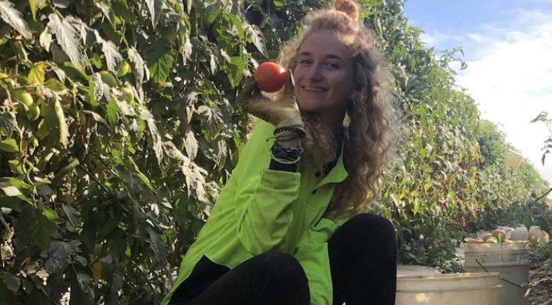 去澳大利亚打工需要什么条件,出国劳务必看的去澳洲打工方法大盘点(图2)