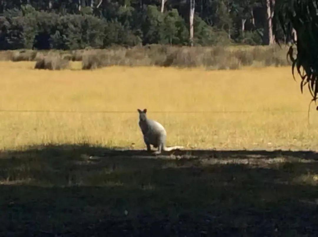 出国劳务做电工一个月多少钱,揭秘出国劳务蓝领的真实生活待遇(图7)