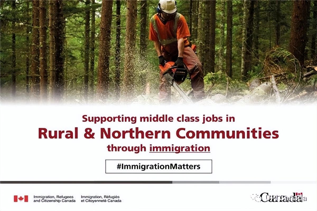 留学生移民加拿大的条件有哪些,最新留学移民加拿大的详细指南大全(图5)