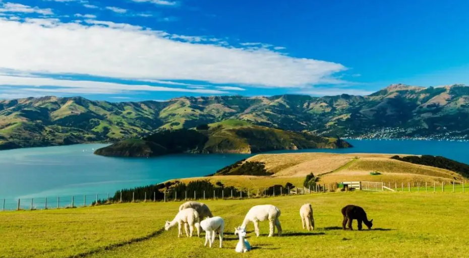 出国留学读研去哪个国家好,一文盘点最新全球热门留学国家top10排名(图12)