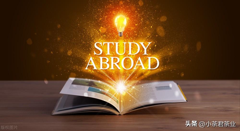 普通人怎样才能出国留学读研,最新研究生留学的申请条件及要求一览(图2)