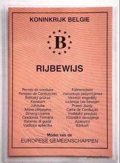 出国开车要重新考驾照吗,一文详解国外驾照的常见问题及注意事项(图11)