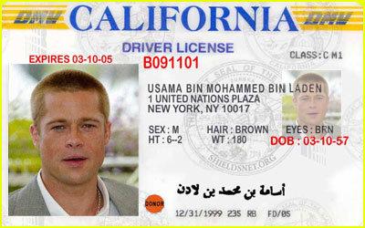 出国开车要重新考驾照吗,一文详解国外驾照的常见问题及注意事项(图2)