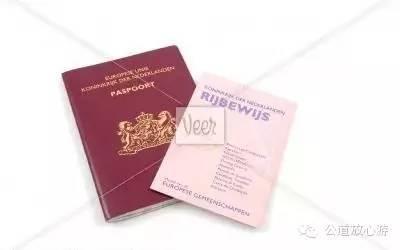 出国开车要重新考驾照吗,一文详解国外驾照的常见问题及注意事项(图3)