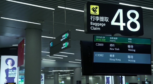 春节去国外旅游合适吗哪里好,一文了解国人春节最想去的10大海外国家(图3)