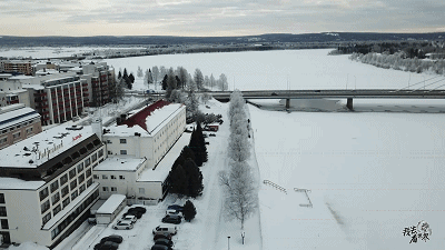 芬兰留学申请条件有什么,芬兰留学最详细的申请干货(图6)