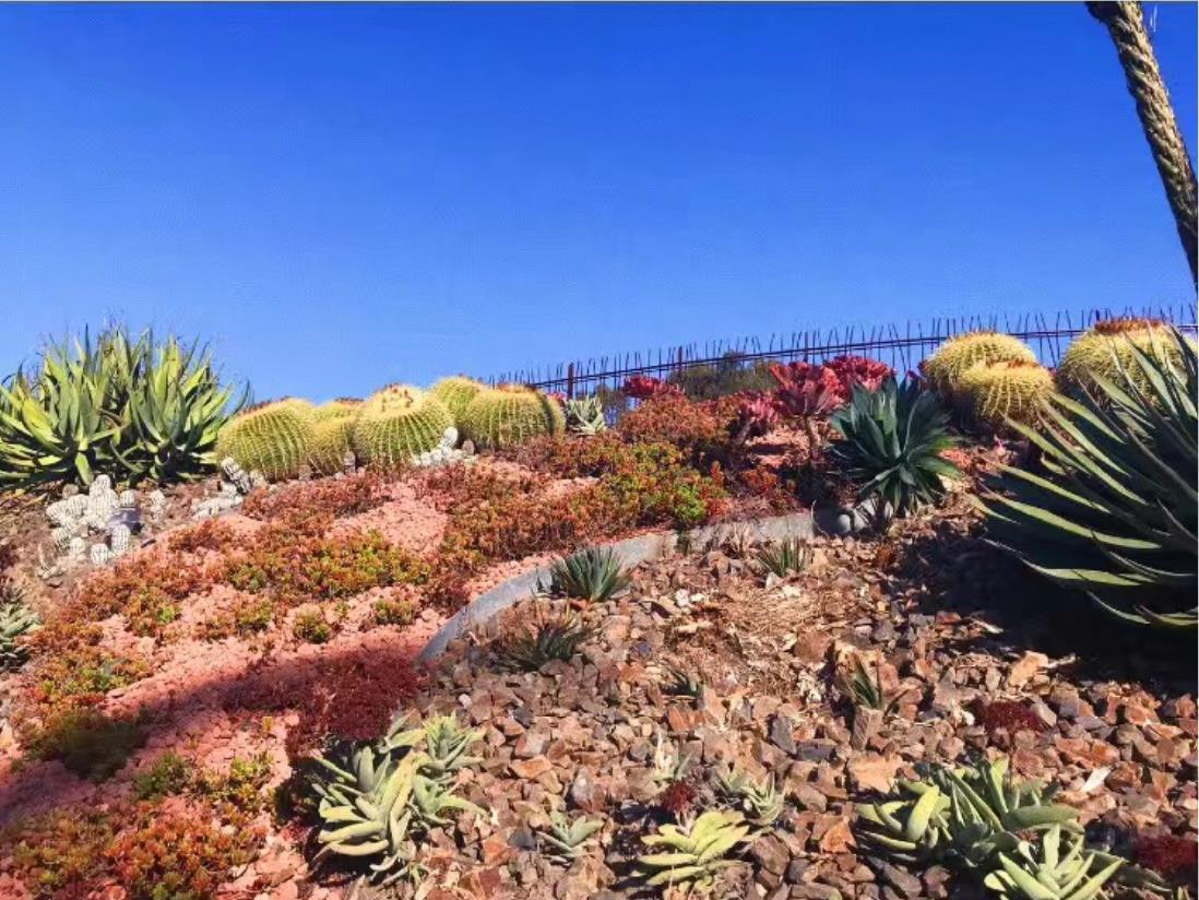 芬兰留学一年大概多少钱,收藏!芬兰留学各种费用大揭秘(图1)