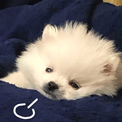 海外留学生回国就业政策是什么,你必须知道的留学回国国家福利政策(图1)