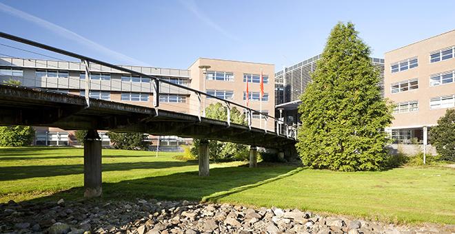 荷兰留学安全吗?荷兰留学一定要注意的安全事项(图3)