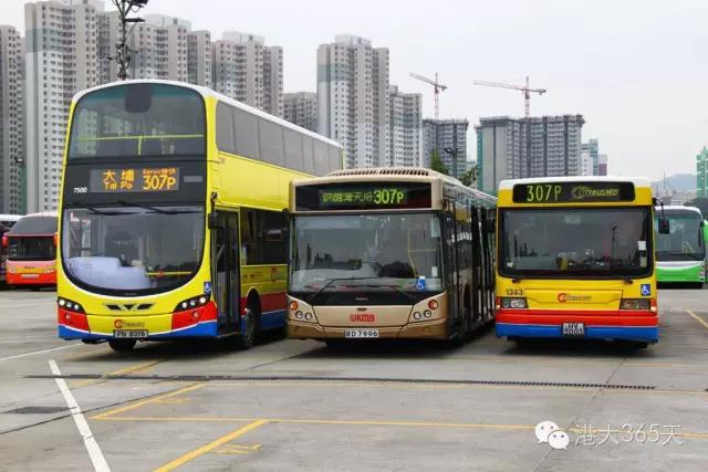 香港留学生一个月生活费多少,超全!香港留学生活各项花销费用盘点(图9)