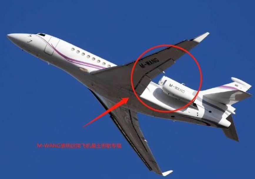 王思聪限制出国是真的吗,王思聪不坐民航人家可还有私人飞机噢(图9)