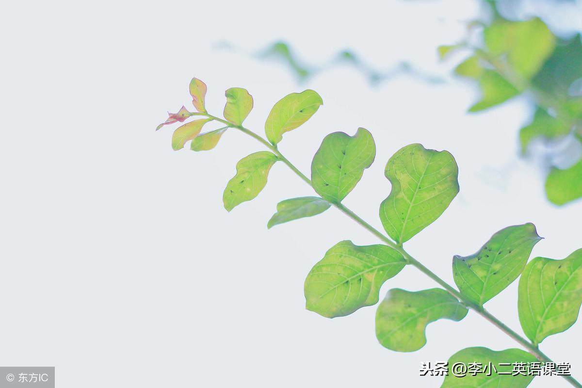 出国常用英语对白怎么说,超实用的出国旅游常用英语口语对话(图3)