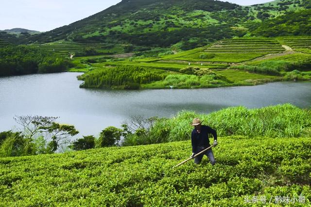 在外打工，家中老人无人照顾，建议你做好这几点！