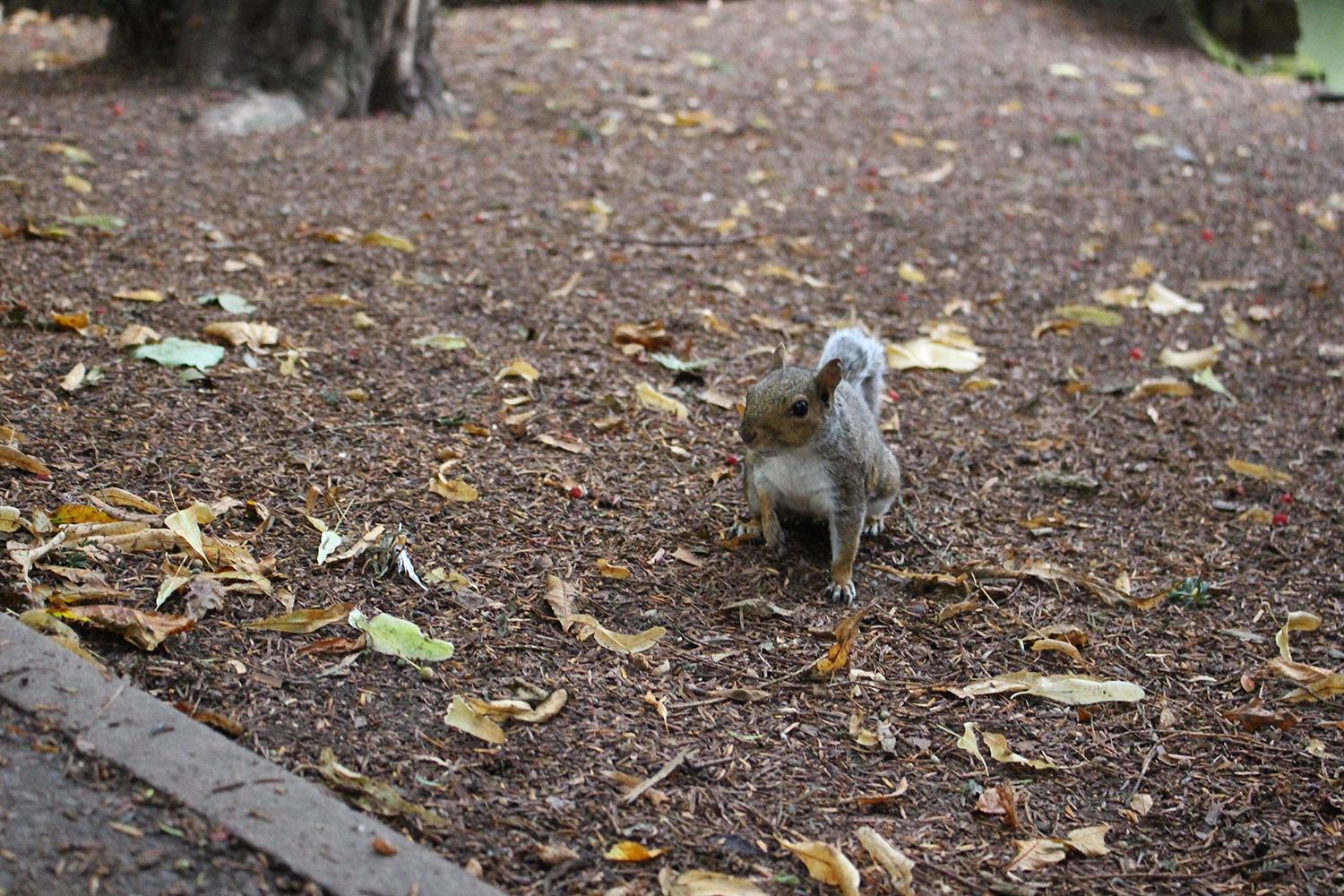 学音乐出国留学一年费用多少,艺术生英国留学费用超全盘点(图1)