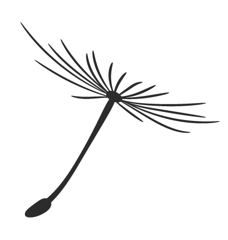 出国留学体检会检查艾滋吗,关于留学体检的知识点全在这(图3)