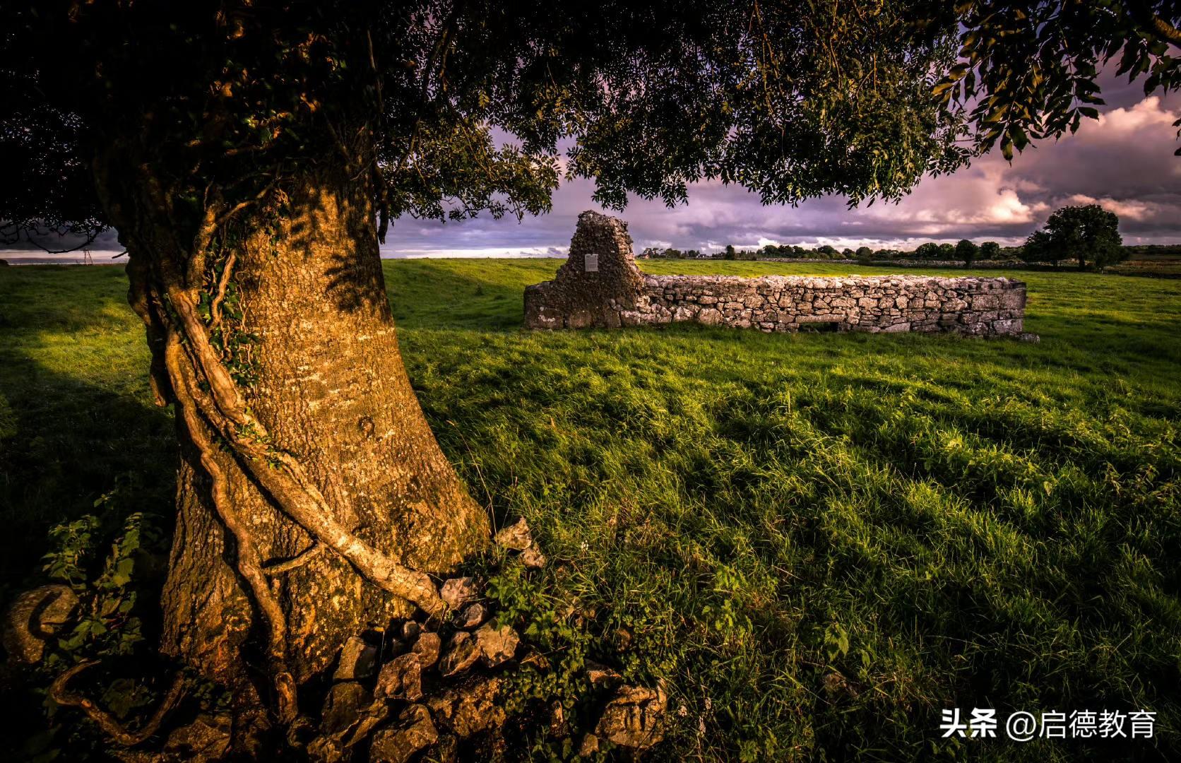 爱尔兰留学费用一年多少人民币,最全的爱尔兰各项留学费用盘点(图1)