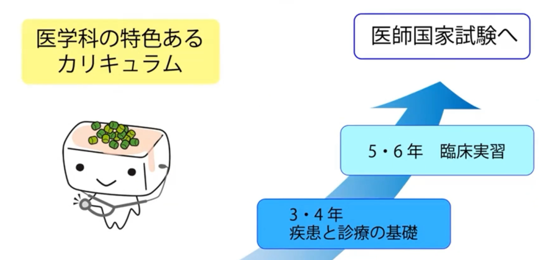 日本留学专业怎么选哪个好,日本留学选专业必看的超强指南(图7)