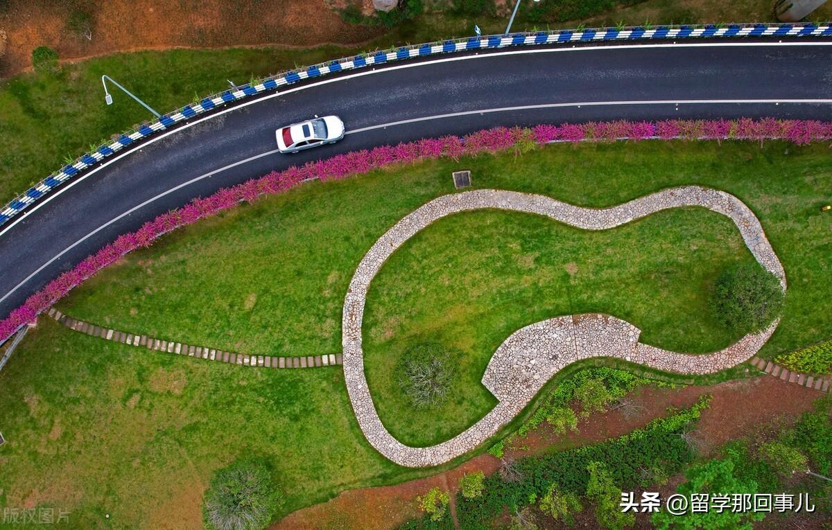 去留学哪个国家会好什么条件,盘点那些热门留学国家的优劣势(图2)