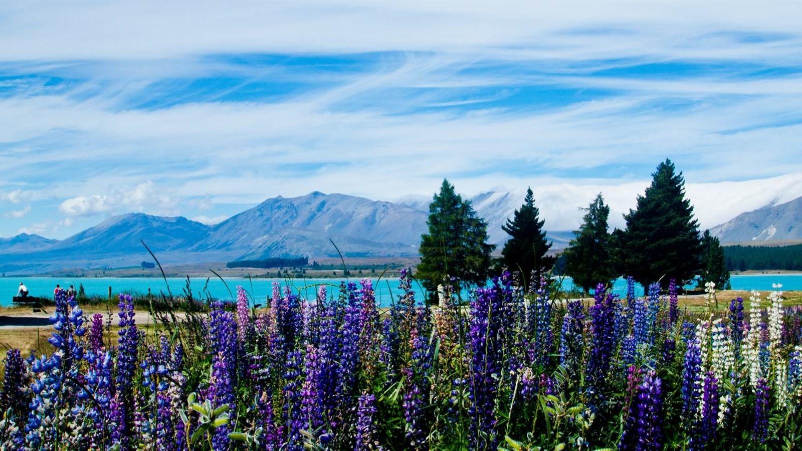 去留学雅思一般要多少分一定要考雅思吗,揭秘想去热门国家留学需要的雅思成绩(图13)