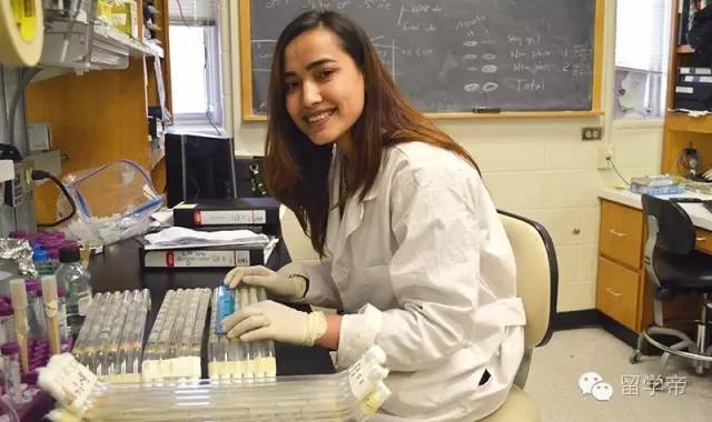 留学生兼职有哪些能赚多少钱,这些高薪又攒经验的兼职是留学生的福音(图1)