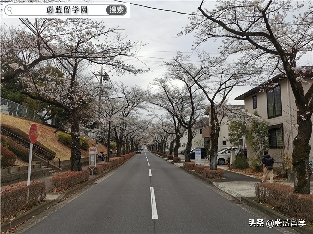 留学日本研究生留学条件怎么样,日本读研的申请步骤和条件分析(图2)