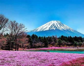 日本 的图像结果