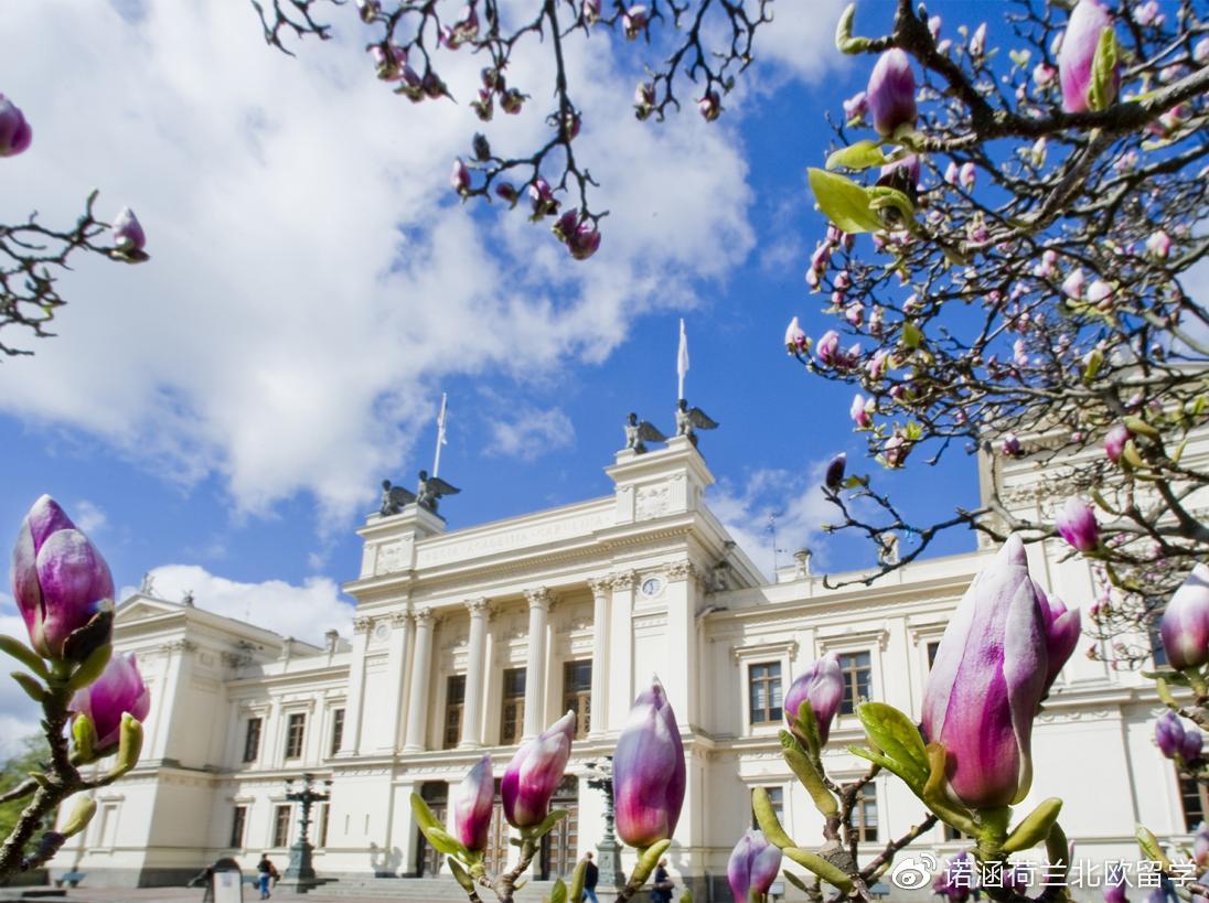 瑞士留学生好找工作吗可以打工吗,瑞典留学毕业后就业前景分析(图5)