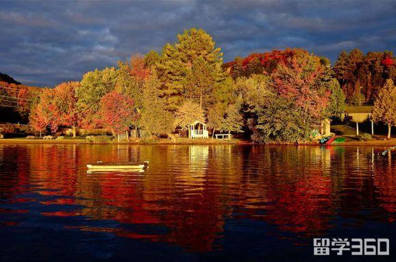 广告学留学有没有必要读什么专业,加拿大留学广告专业超全解析(图1)